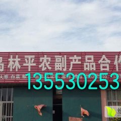 平度日本铁杆大葱（刚葱）已经上市了