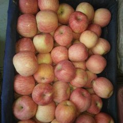 陕西纸袋红富士苹果价格红富士苹果批发