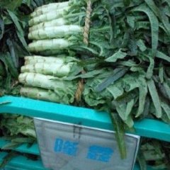 山东省沂南县房家庄子蔬菜批发市场