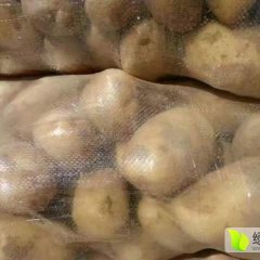 陕西定边克新一号 网袋根据客户需要