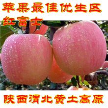 2016年陕西大荔红苹果价格
