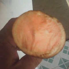 江西上饶现有一批二两至半斤精品小红薯鲜货