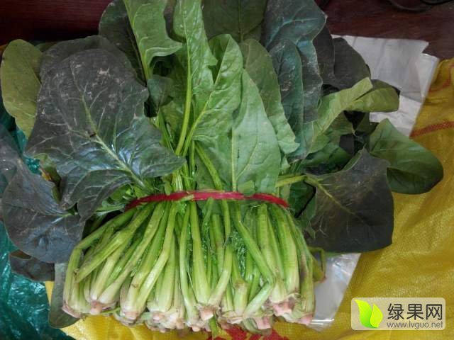 2016年山东东昌府大叶菠菜价格
