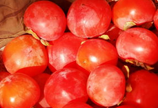 陕西大荔现吃甜柿子是名优特产