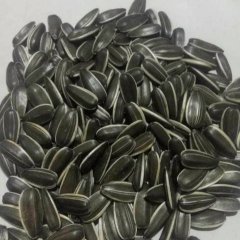 3638葵花籽，颗粒饱满，色泽光亮，没有水锈，210颗粒