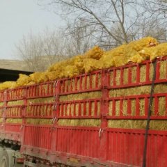 安定土豆今年价格 定西的特色优势产业