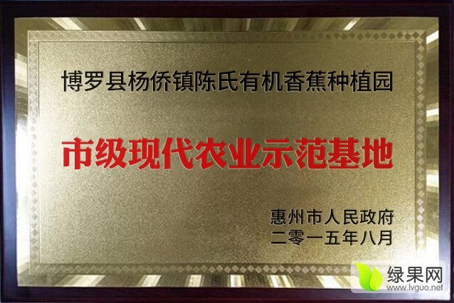 2016年广东博罗巴西香蕉价格
