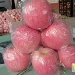山东潍坊早熟富士苹果产地红富士苹果