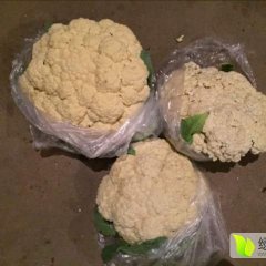 河北藁城我处大量出售冷库储存有机散花