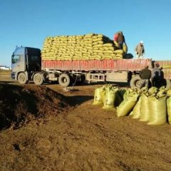 内蒙古绿金羊粪厂，本厂常年供应