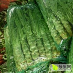2016沂南莴苣走过路过不要错过