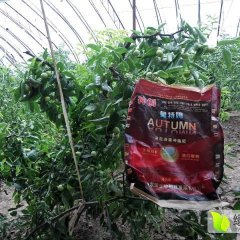 高能滴灌冲施全营养生物型