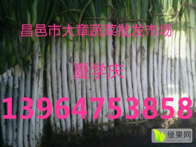 2016年山东昌邑章丘大葱价格