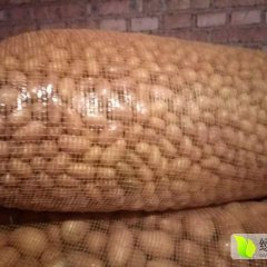 本地有大量小土豆（1两-3两）