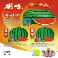 陕西杨陵金牌甜王西瓜种子质量上乘