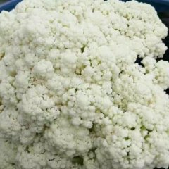 沛县菜花 今日散花继续下滑