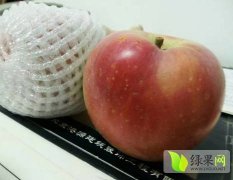 礼泉烽火徐赞朋11月红富士苹果