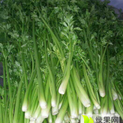 山东章丘章丘鲍芹 鲍芹种植历史悠久