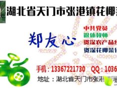 中国花菜之乡张港花椰菜上市了，中国地理标志