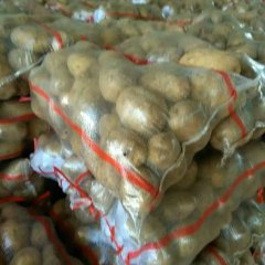 甘肃安定陇薯7号土豆价格适宜