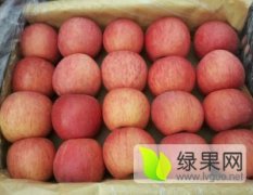 2016年陕西红富士苹果价格