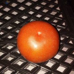 2016隆阳西红柿值得出手