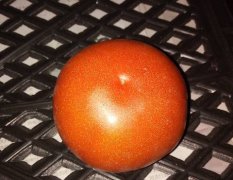 2016隆阳西红柿值得出手