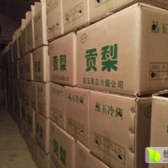 直销 20万亩优质 酥梨