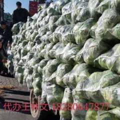 西昌甘蓝诚信代办