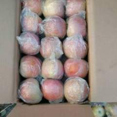 陕西大荔县红富士苹果价格走势