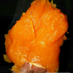 夏津红薯随行就市,夏津赵万峰诚信合作