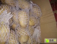 安丘土豆规格3-6套网纸箱，颜色好、皮靓