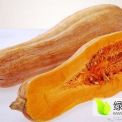 安徽长丰岗集胡先生1月金韩密本南瓜