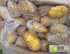 供应潍坊昌邑冷库土豆，大量出货，商机就在今