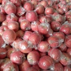 山西运城临猗县北辛乡赵村果品