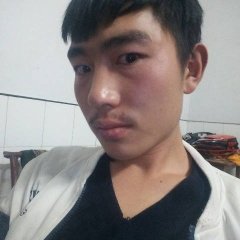 湖北利川卷心菜 高山富硒包菜