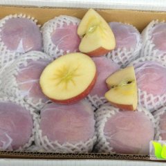 山西临猗红富士苹果上货量大 0.65元
