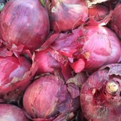 金川组织洋葱货源，工厂洋葱定单