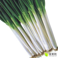 滕州界河王峰8月铁杆大葱