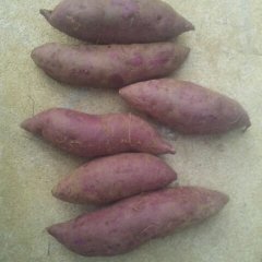 宜城马头曾庆雷8月紫薯红薯