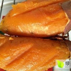 夏津常年供应红薯 苏署八号  济署26