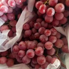 陕西渭南红提葡萄价格便宜质量好