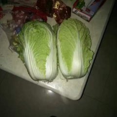 湖北嘉鱼韩国黄心白菜上货量大