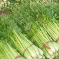 禹城是德州地区最大的蔬菜生产基地