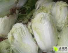 砀山县万亩白菜，芹菜，辣椒