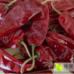 洮南黑水赵海涛金塔 千金红 线椒红干椒