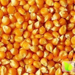 益阳市富利农饲料有限公司