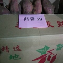 山东邹鲁生态农业开发有限公司