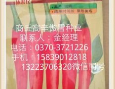 河南省商丘市睢阳区高辛艳红辣椒种子