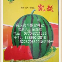 睢阳西瓜种子价格适宜,河南金创业诚信合作